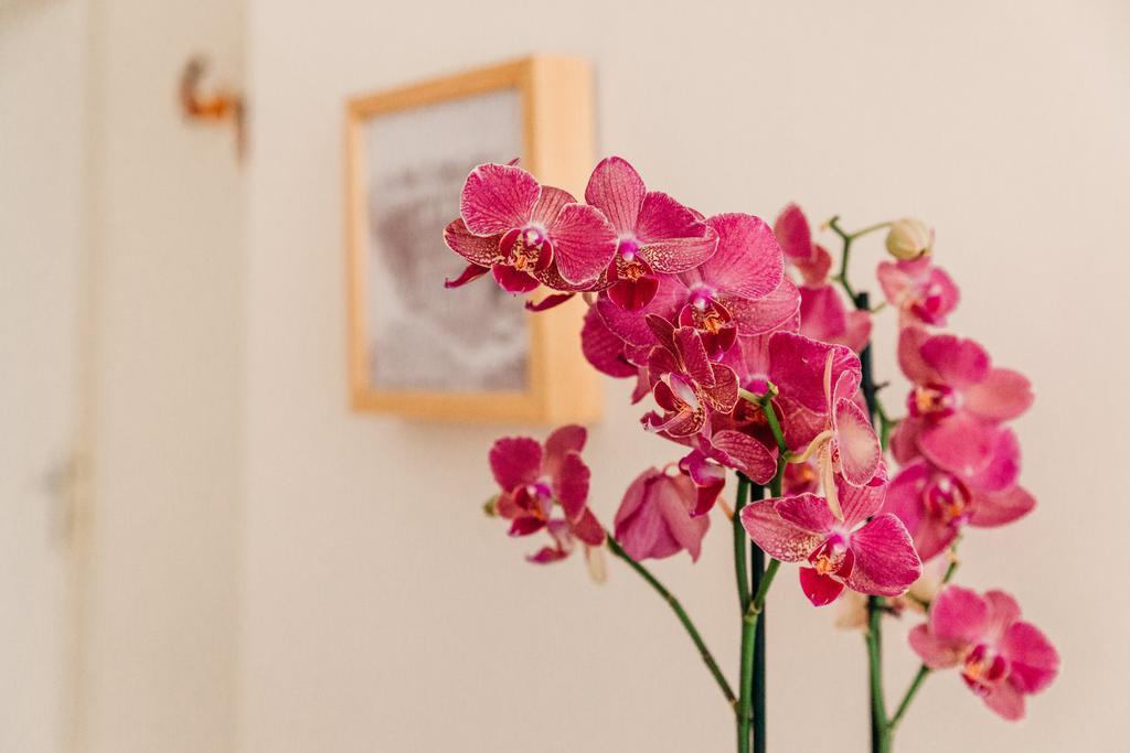 Adriano Augusto Bed & Breakfast Roma Rom bilde