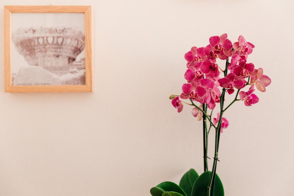Adriano Augusto Bed & Breakfast Roma Rom bilde